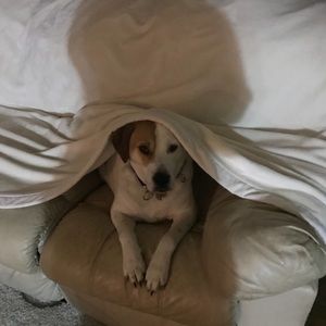 Meet your Posher, Jane